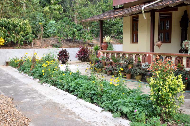 Sriniketana Homestay grounds