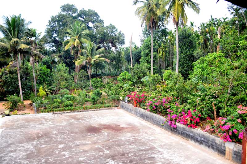 Open estate grounds at Sriniketana Homestay, ideal for camps and retreats