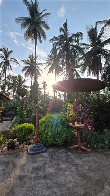 Garden at Sriniketana Homestay